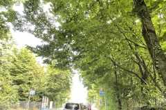 mobilite-autrement.ch-img-3330