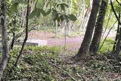 mobilite-autrement.ch-img-3335