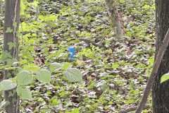 mobilite-autrement.ch-img-3336