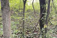 mobilite-autrement.ch-img-3337