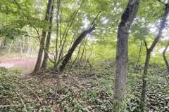 mobilite-autrement.ch-img-3338