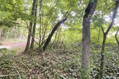 mobilite-autrement.ch-img-3339