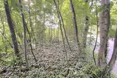 mobilite-autrement.ch-img-3340