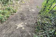 mobilite-autrement.ch-img-3341