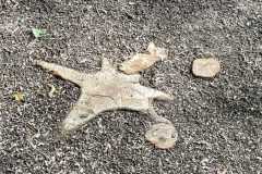 mobilite-autrement.ch-img-3342