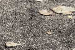 mobilite-autrement.ch-img-3343