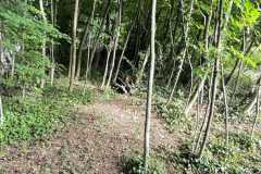 mobilite-autrement.ch-img-3346