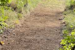 mobilite-autrement.ch-img-3348