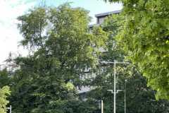 mobilite-autrement.ch-img-3457