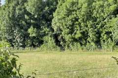 mobilite-autrement.ch-img-3460