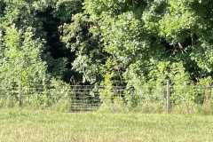 mobilite-autrement.ch-img-3461